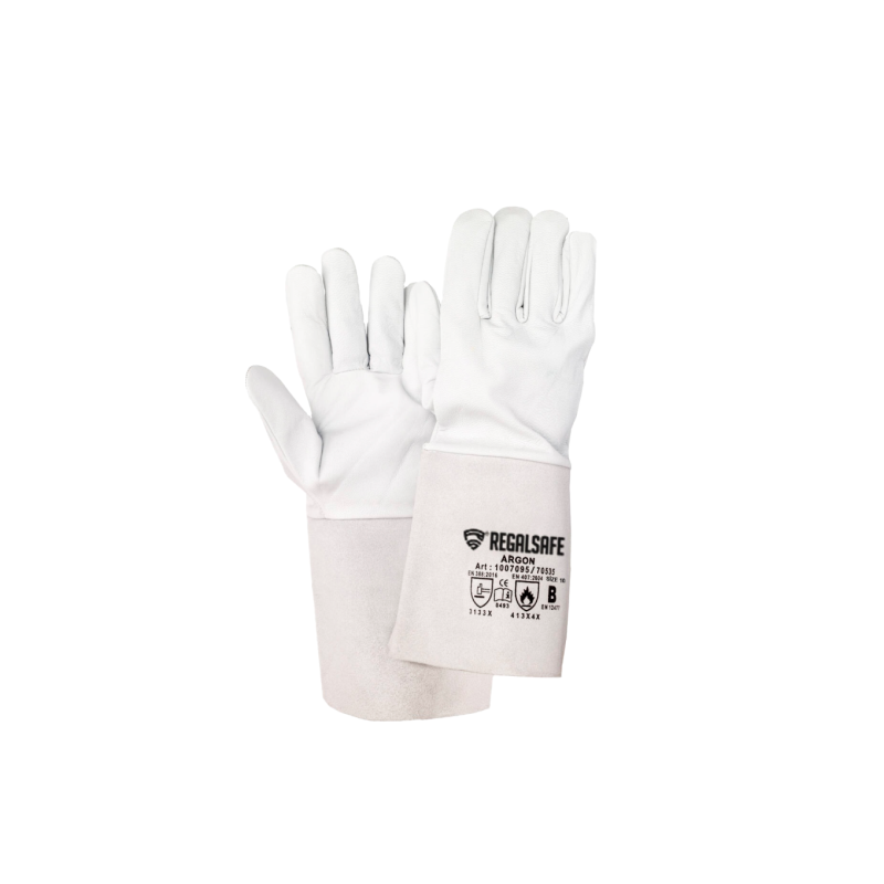 REGALSAFE G-650