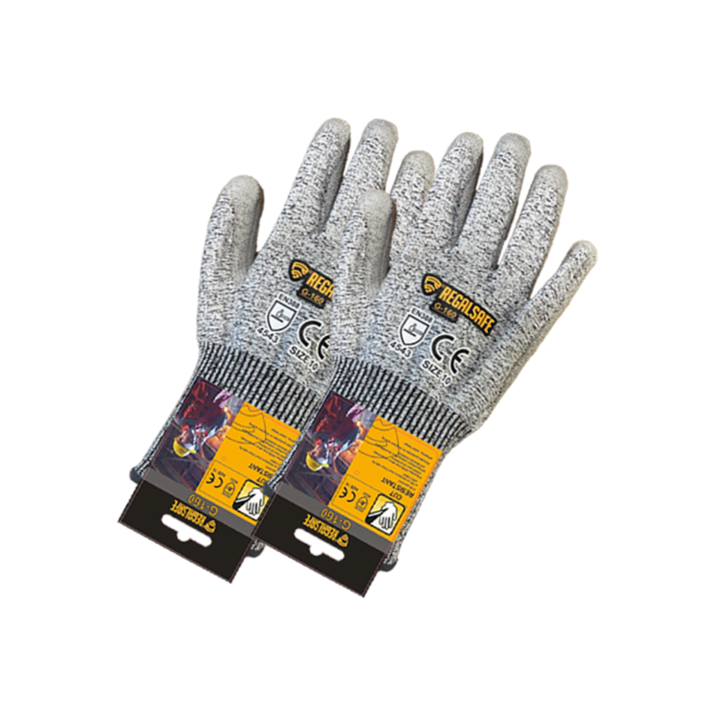 REGALSAFE G-160