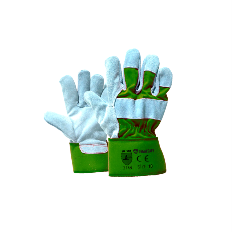 REGALSAFE G-450