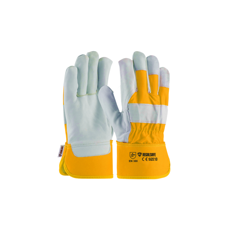 REGALSAFE G-485