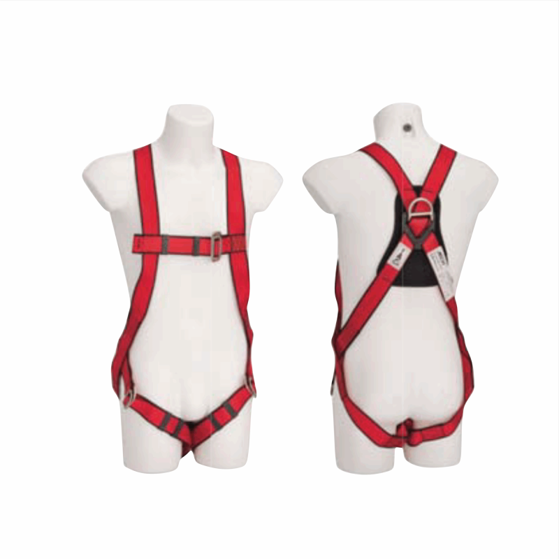 REGALSAFE JE 113135
